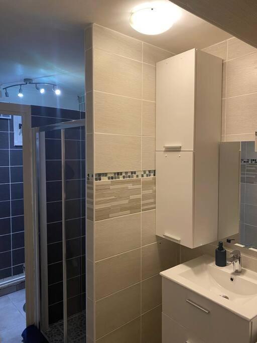 Absl Appartement Villefranche-sur-Saône Eksteriør billede
